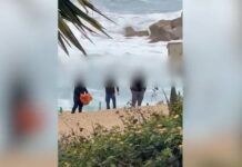 Κύπρος: Συνελήφθησαν οι υπάλληλοι που κλωτσούσαν & πετούσαν το κουφάρι θαλάσσιας χελώνας