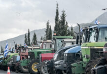 Τροχαίο με έναν νεκρό στην παράκαμψη της Εθνικής Οδού Θηβών – Λιβαδειάς: Ο δρόμος ήταν κλειστός λόγω μπλόκων