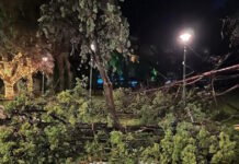 Καιρός – Αλεξανδρούπολη: «Από θαύμα δεν σημειώθηκαν δυστυχήματα» λέει μετεωρολόγος για τις ριπές ανέμου 154 χιλιομέτρων την ώρα