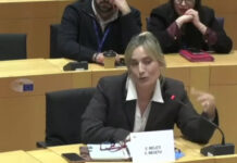 Ελεονώρα Μελέτη: Με λυγμούς στο Ευρωκοινοβούλιο – «Είμαι εδώ ως γυναίκα που έχει υπάρξει θύμα κακοποίησης στη σχέση της»