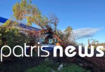 Δέντρο έπεσε σε τρένο που εκτελούσε της γραμμή Πύργος – Κατάκολο: Στο νοσοκομείο ο μηχανοδηγός