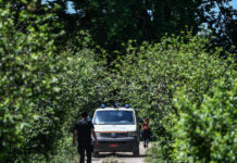 Τζουμέρκα: 55χρονος βρέθηκε νεκρός σε ρέμα – Τον αναζητούσε ο αδελφός του