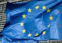 Συμφωνία Ε.Ε.–Mercosur: Αυτά είναι τα οφέλη για λάδι, τυριά, ροδάκινα και ακτινίδια