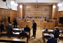 Εξεταστική ΟΠΕΚΕΠΕ: Βαριές καταγγελίες από την πρώην αντιπρόεδρο, Δήμητρα Χαλικιά – Τι είπε για Βορίδη, Βάρρα, Σημανδράκο και Τυχεροπούλου