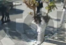 Ερέτρια: Βίντεο ντοκουμέντο από τον άγριο ξυλοδαρμό του 16χρονου από συνομηλίκους του – Του έστησαν καρτέρι