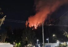 Φωτιά στη Δάφνη: Κοντά στο σταθμό του μετρό Άγιος Ιωάννης, προβλήματα στην κυκλοφορία