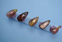 Glamoratti nails: Η τάση που φέρνει τον μαξιμαλισμό στα μανικιούρ