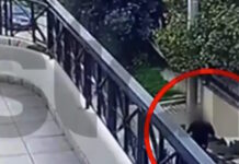 Γλυκά Νερά: Ηλικιωμένοι ξεγέλασαν απατεώνα που παρίστανε υπάλληλο του ΔΕΔΔΗΕ για να τους κλέψει