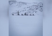 Το MEGA στη Γροιλανδία – Ευρωπαίοι στρατιώτες εκπαιδεύονται για μάχες σε πολικές συνθήκες