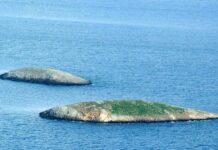 Κωνσταντίνος Τασούλας για Ίμια: Σήμερα τιμούμε τις ήρωες