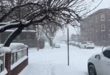 ΗΠΑ: Δεκάδες νεκροί από τη φονική χιονοκαταιγίδα «Fern» – Σε συναγερμό 37 Πολιτείες