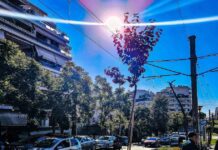 Καιρός: Μετά την Πρωτοχρονιάτικη παγωνιά – εξπρές, άνοδος της θερμοκρασίας ως και 10 βαθμούς κελσίου