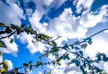 Καιρός σήμερα: Τους 18 βαθμούς Κελσίου θα φτάσει η θερμοκρασία