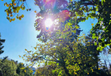 Καιρός σήμερα: Ήλιος και λίγη συννεφιά – Τους 17 βαθμούς αγγίζει η θερμοκρασία