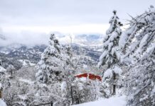 Πάγωσε η Ελλάδα: Στους -20 ο υδράργυρος στο Βαθύσταλο Παρνασσού ξημερώματα της Πρωτοχρονιάς, -14,6 στο Σέλι