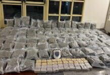 Χειροπέδες σε 2 μέλη κυκλώματος ναρκωτικών σε Αθήνα και Πάτρα: Εντοπίστηκε κάνναβη αξίας 900.000 ευρώ