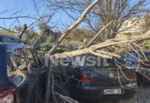 Μαρούσι: Δέντρο ξεριζώθηκε και καταπλάκωσε σταθμευμένα αυτοκίνητα εξαιτίας των ισχυρών ανέμων
