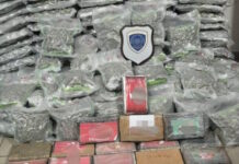 Πάτρα: Σκύλος της αστυνομίας εντόπισε 22 κιλά κοκαΐνη και 133 κιλά κάνναβη σε φορτηγό – Συνελήφθησαν δύο άνδρες