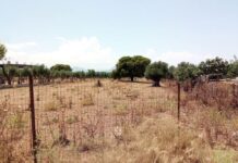 Οικόπεδα και ακάλυπτοι χώροι: Τι λέει η ΠΟΜΙΔΑ