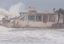 Ρόδος: Θυελλώδεις άνεμοι 11 μποφόρ σαρώνουν το νησί – Πτώσεις δέντρων και καταστροφές