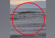 Στρυμόνας: «Πήρα την απόφαση και μπήκα» περιγράφει ο σέρφερ που έσωσε τον ψαρά που πνιγόταν