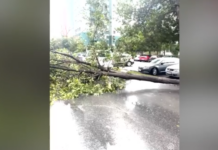 Σφοδρή κακοκαιρία σαρώνει την Τουρκία