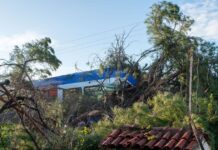 Πύργος: «Ο Θεός με γλίτωσε» λέει ο μηχανοδηγός του τρένου που το καταπλάκωσε μεγάλο δέντρο