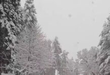 Κακοκαιρία: Μαγικές εικόνες στην Ελάτη Τρικάλων με το χιόνι να ξεπερνά τα 70 εκατοστά – Θάφτηκαν αυτοκίνητα