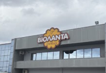 Βιολάντα: «Οι συλλήψεις πραγματοποιήθηκαν βάσει της προβλεπόμενης από τον νόμο διαδικασίας» – Νέα ανακοίνωση της εταιρείας