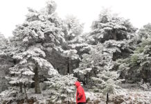 «Χιονοπόλεμος» μεταξύ μετεωρολόγων: Αντιπαράθεση Τσατραφύλλια και Μαρουσάκη για τον χιονιά – «Η φωτοβολίδα εξελίσσεται σε στρακαστρούκα»