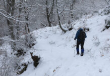 Καιρός: Παγωμένο τριήμερο με χιόνια, ισχυρούς ανέμους και πολικές θερμοκρασίες