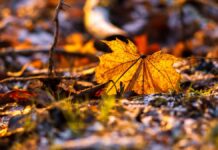 3 ζώδια που δυσκολεύονται να διαχειριστούν τον μουντό καιρό