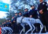 Ρομποτικοί σκύλοι θα περιπολούν στα γήπεδα του Μεξικού για το Μουντιάλ 2026