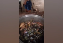 Φιλιππίνες: Γνωστή food blogger έφαγε τοξικό καβούρι και πέθανε