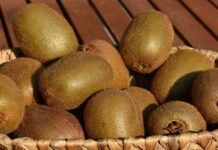 Πώς το ελληνικό ακτινίδιο ενισχύει τη θέση του στις παγκόσμιες αγορές