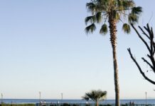 Η δημοσκόπηση για την αυτοδιοίκηση και οι δήμαρχοι που κατάφεραν να κατακτήσουν την πρωτιά