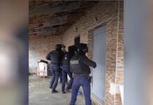 Δώδεκα συλλήψεις σε οικισμούς σε Φυλή και Αχαρνές: Πάνω από 20 παραβιάσεις του ΚΟΚ, αποξηλώθηκαν καλώδια για ρευματοκλοπές