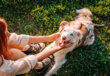 Όσοι αφιερώνουν 15 λεπτά σε αυτή την συνήθεια έχουν βρει το μυστικό για μια ζωή χωρίς στρες