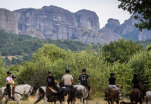 Μουσείο Φυσικής Ιστορίας Μετεώρων: Κυνήγι τρούφας και «Νύχτες στο Μουσείο» και το τριήμερο της Αποκριάς