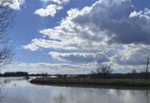 Έβρος: Ώρες αγωνίας για τους κατοίκους των παρόχθιων χωριών – Φόβος για μεγάλες ποσότητες νερού από την Βουλγαρία