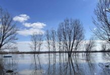 Έβρος: «Τα νερά είναι πάρα πολλά και η εικόνα θυμίζει το 2015 με την πλημμύρα της εκατονταετίας» λέει ο αντιπεριφερειάρχης Ανατολικής Μακεδονίας – Θράκης