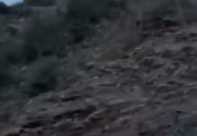 Ευρυτανία: Τροχαίο με έναν νεκρό όταν αυτοκίνητο έπεσε σε γκρεμό 300 μέτρων – Βίντεο