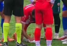 Το βολέ του τερματοφύλακα «κατέρριψε» έναν γλάρο, ποδοσφαιριστής τον έσωσε με ΚΑΡΠΑ