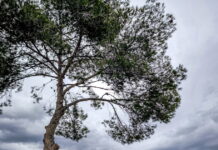 Καιρός αύριο: Συννεφιά και τοπικές βροχές στις περισσότερες περιοχές της χώρας – 7 μποφόρ στο Ιόνιο