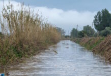 Διδυμότειχο: Στα 6.50 μέτρα η στάθμη του νερού – Ξεπέρασε το όριο ασφαλείας η στάθμη του νερού στο Πύθιο