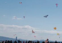 Κούλουμα στον Πειραιά: Μέγα πλήθος στη Φρεαττύδα για χορό, θαλασσινά και το παραδοσιακό πέταγμα του αετού