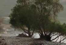 Αποπνικτική ατμόσφαιρα και εικόνες καταστροφής από την κακοκαιρία: Προβλήματα από τους θυελλώδεις ανέμους σε Ήπειρο και νησιά – Αφρικανική σκόνη πνίγει Αττική και Κρήτη