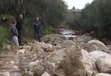 Εικόνες καταστροφής στη Μεσσηνία: Ξηλώθηκαν δέντρα και δρόμοι «κόπηκαν» στα δύο λόγω της κακοκαιρίας – Αγανακτισμένοι οι κάτοικοι