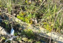 Προκαταρκτική έρευνα από την εισαγγελία Θεσσαλονίκης για τη δολιοφθορά στα καλώδια τηλεδιοίκησης του ΟΣΕ