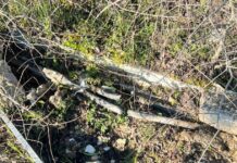 Οι έρευνες της ΕΛΑΣ για τη δολιοφθορά στα καλώδια τηλεδιοίκησης του ΟΣΕ – Τα πρώτα στοιχεία και τα ερωτήματα